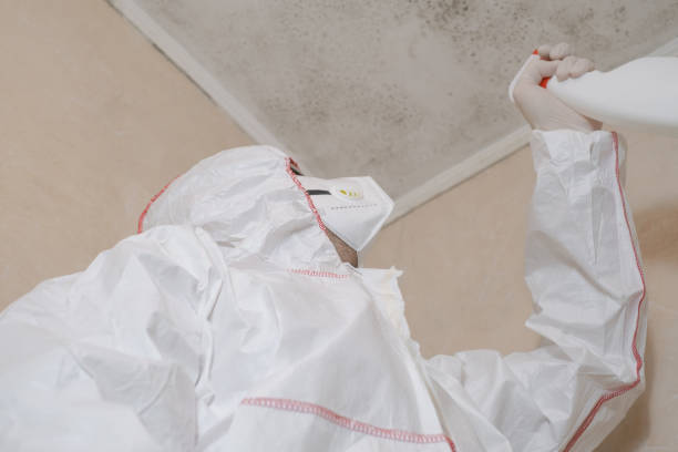 Best Emergency Mold Remediation in Jacksonville, TX