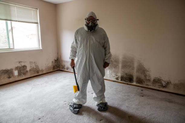 Best Health and Safety Mold Remediation in Jacksonville, TX